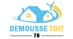 nettoyage-demousse-toit